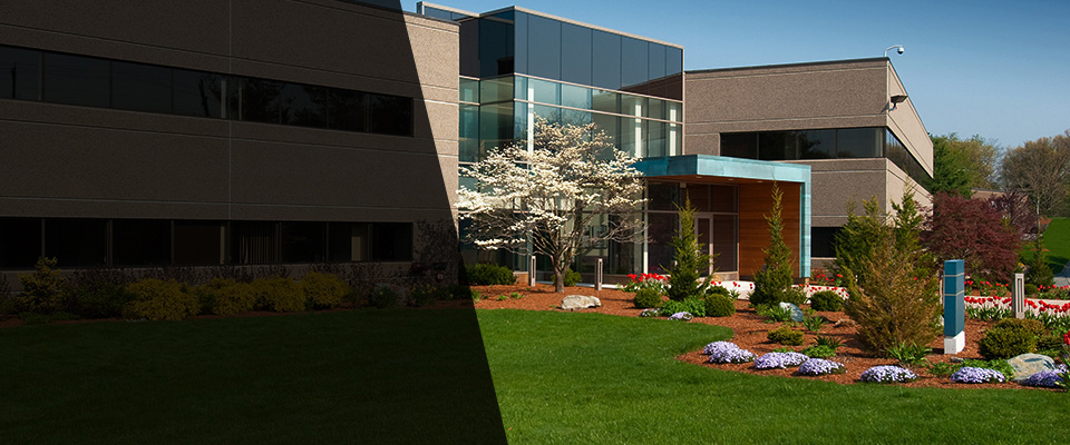 Birdsboro Landscapers