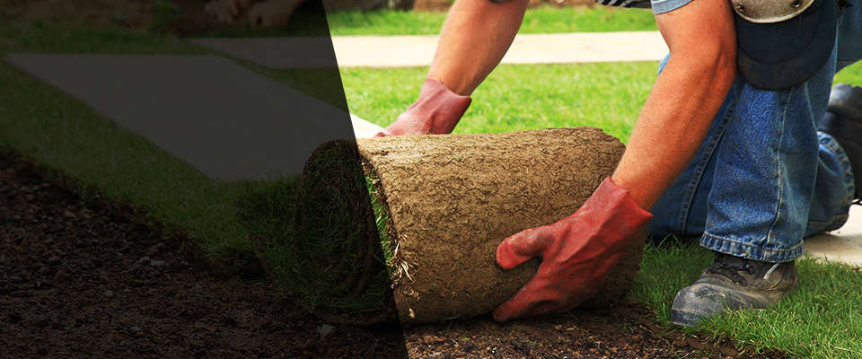 Birdsboro Landscapers